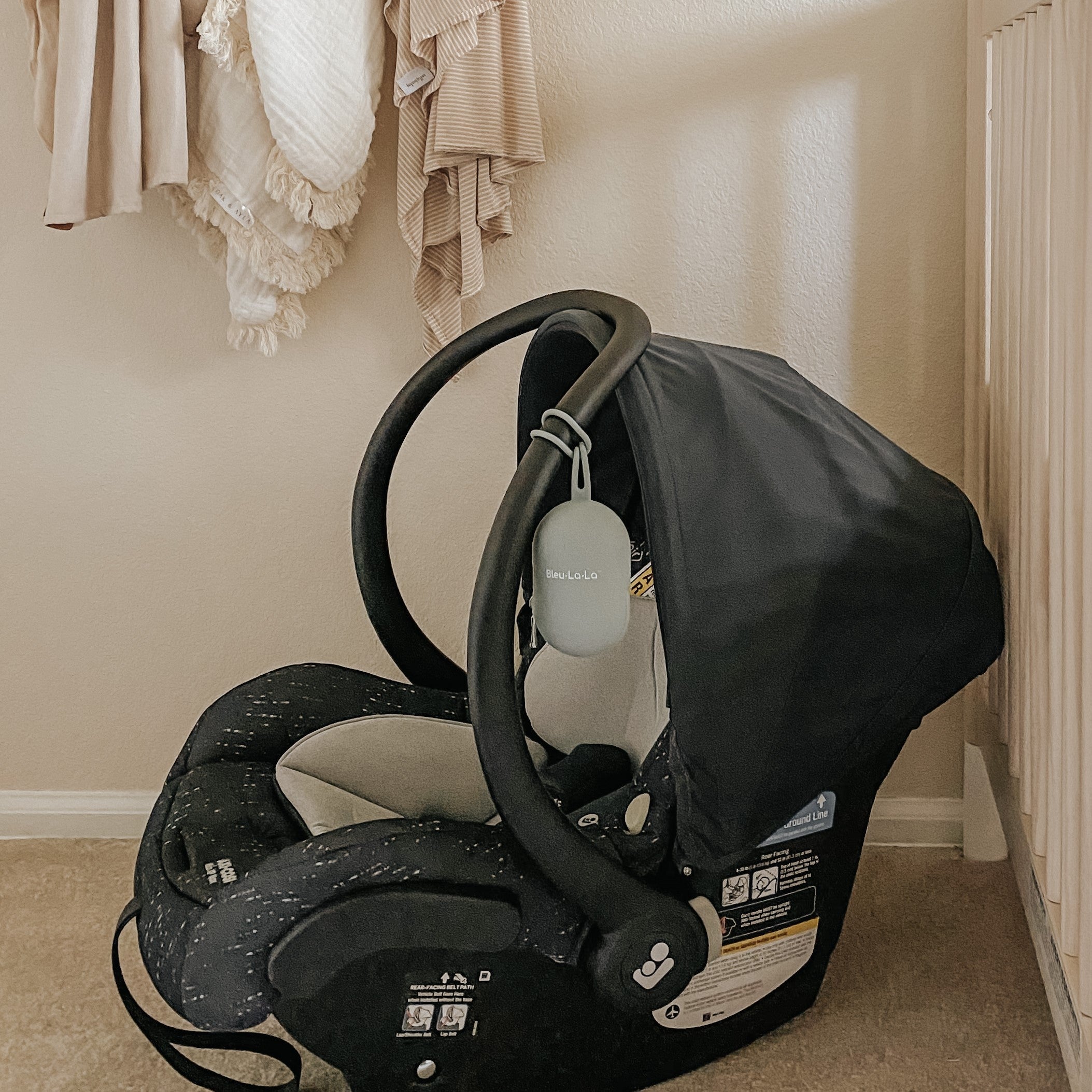 Pacifier Case