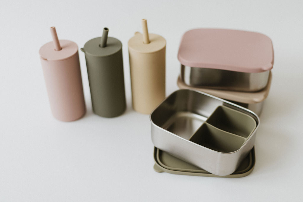 Stainless Steel & Silicone Bento Box