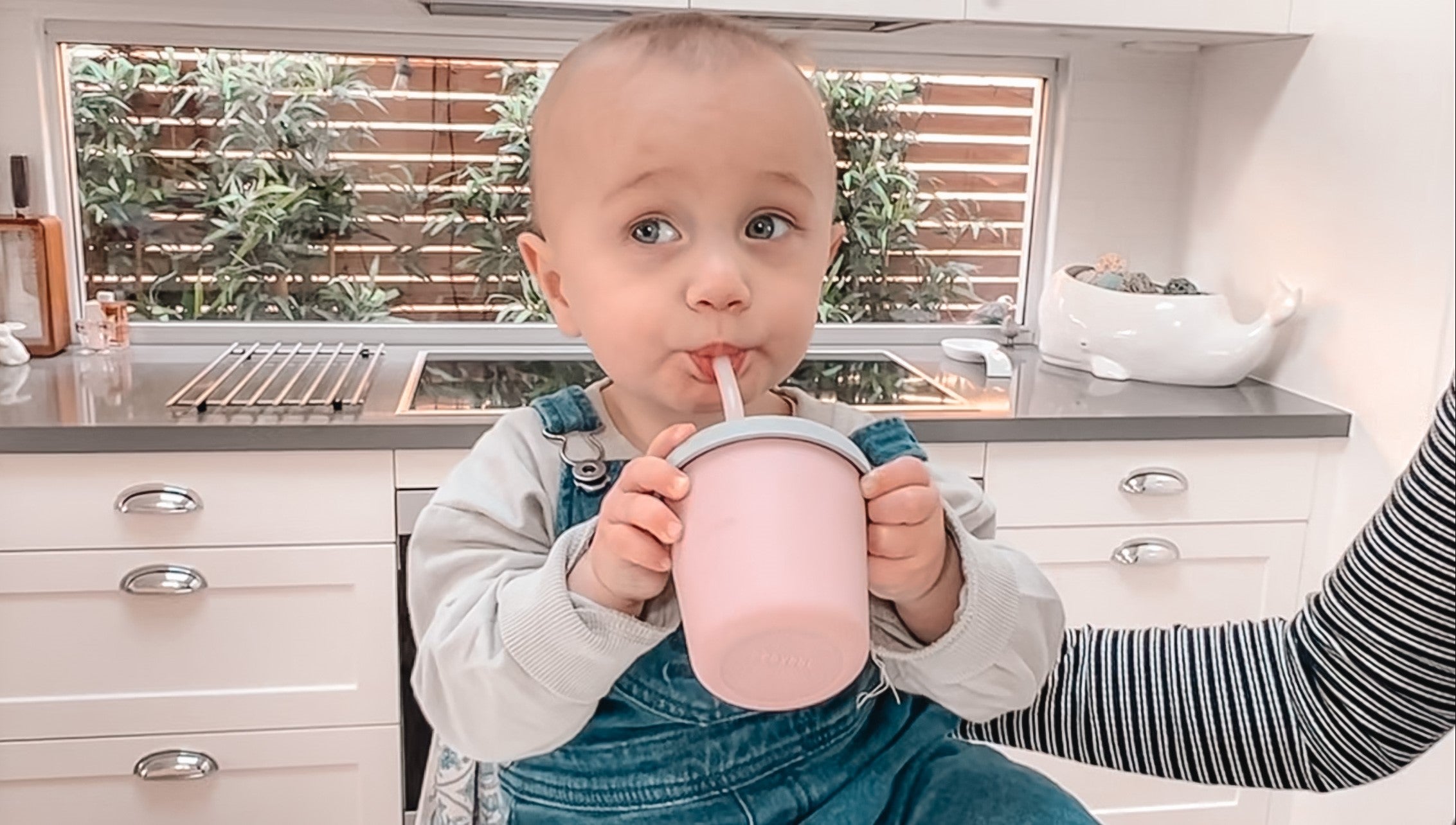 Haakaa Jolly Hippo Silicone Sippy Cup 1 pk