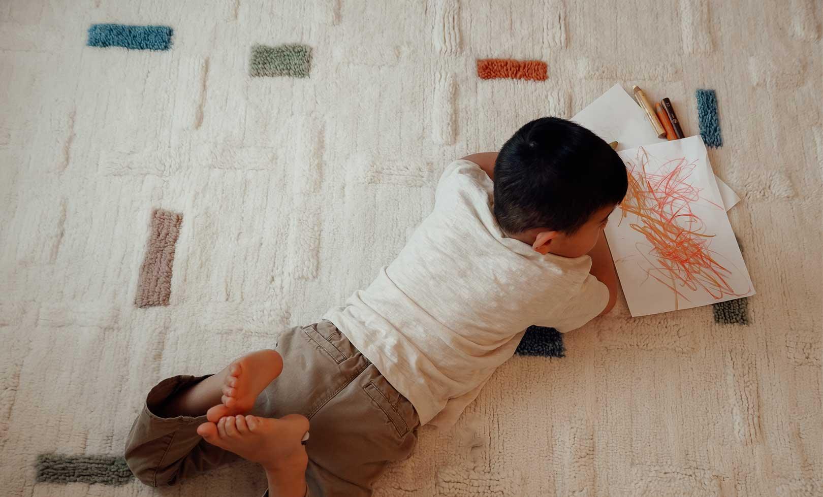 Brick Washable Wool Area Rug