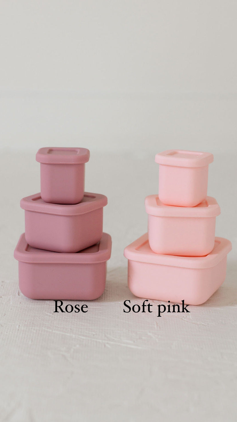 Silicone Bento Box (Set of 3)