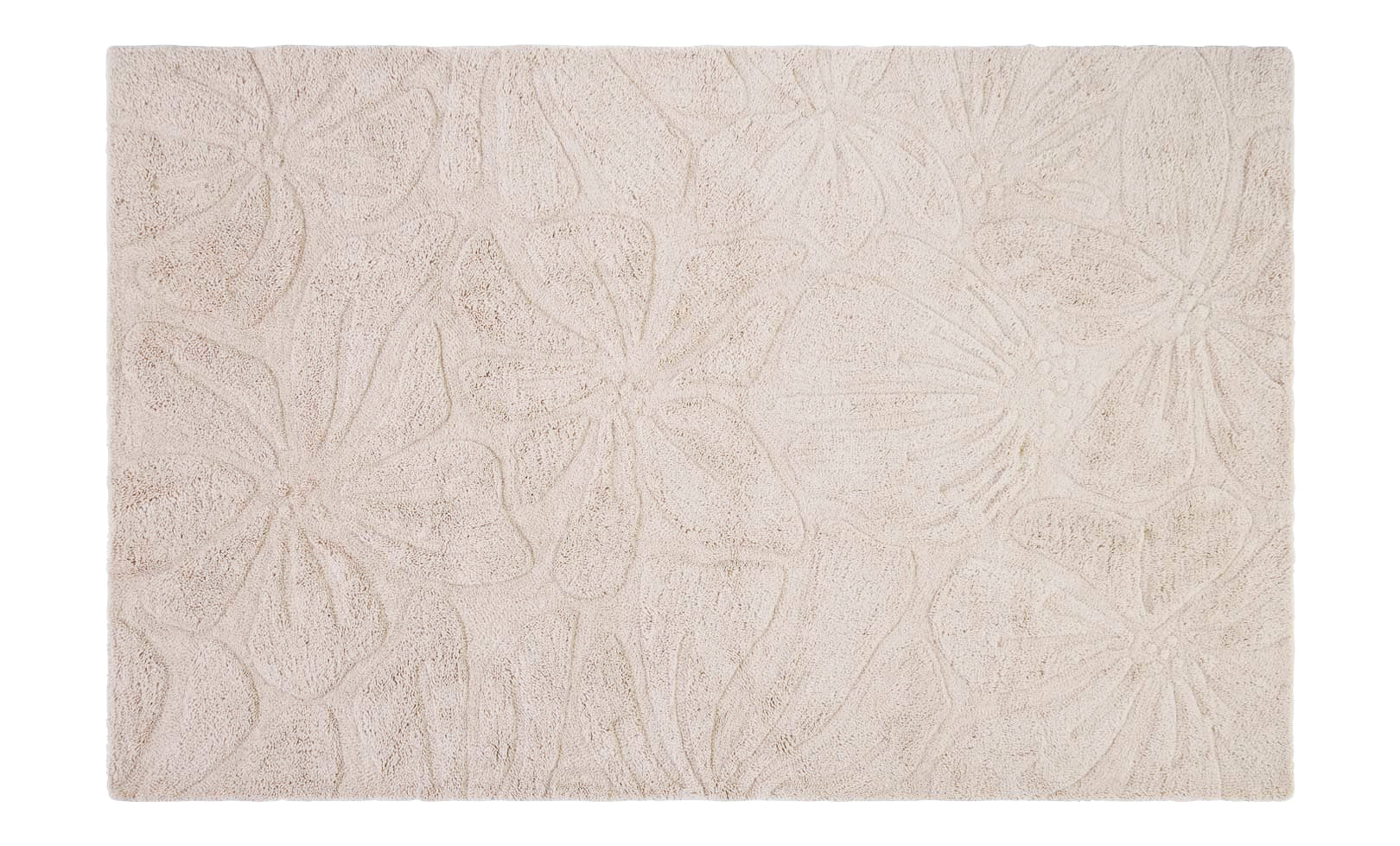 Floral Field Washable Wool Area Rug in Cream