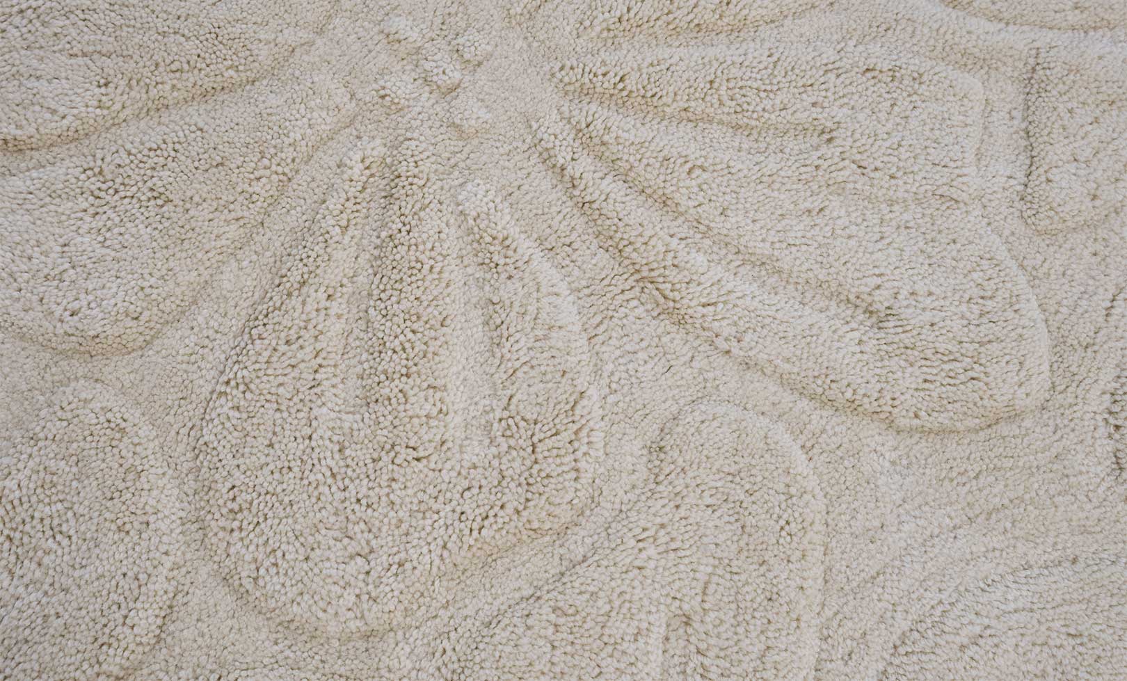 Floral Field Washable Wool Area Rug in Cream