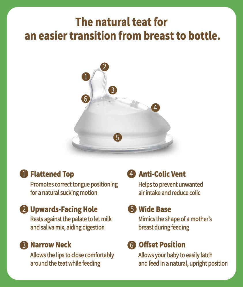 Glass Baby Bottle (6 oz/160 ml)