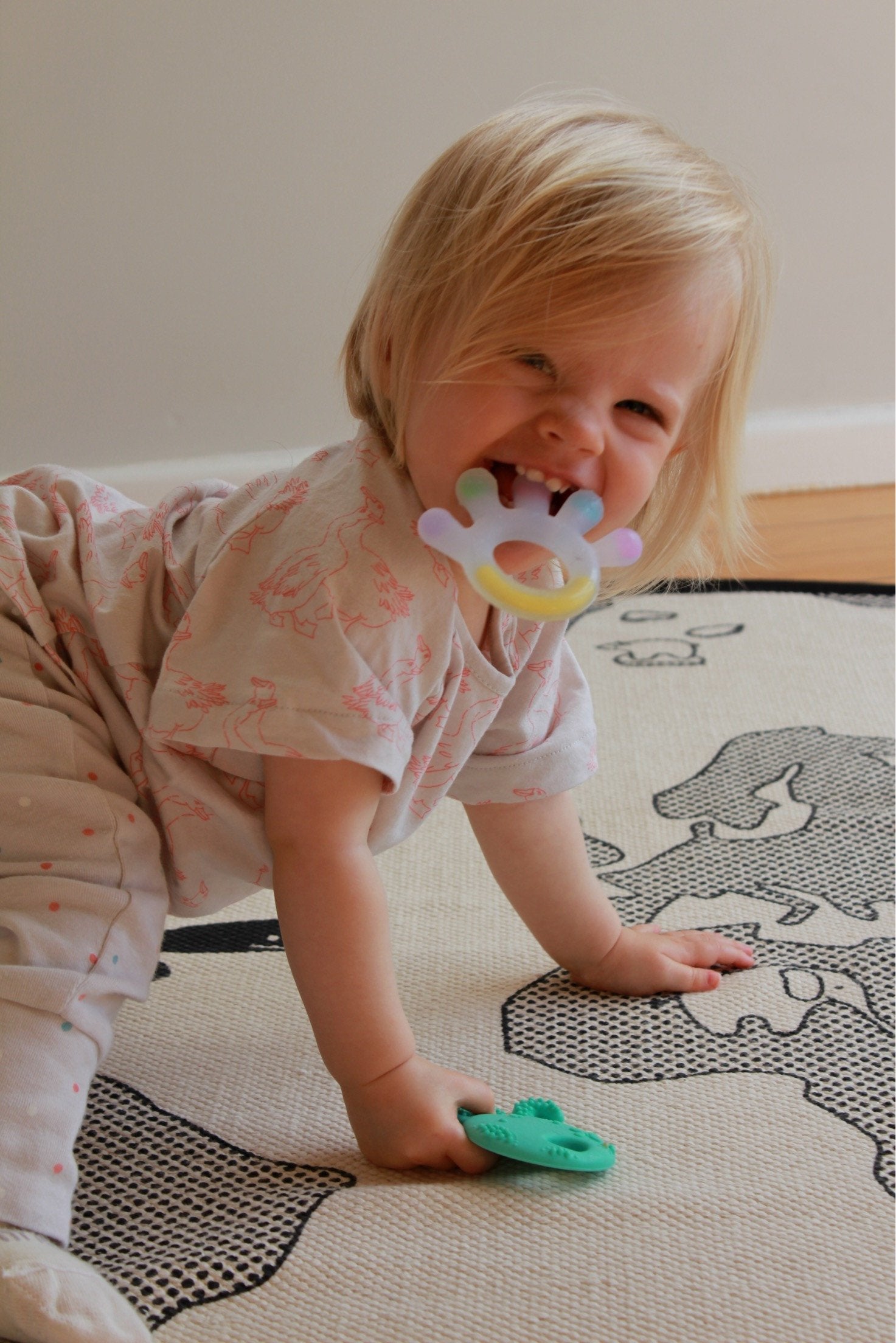 Silicone Palm Teether