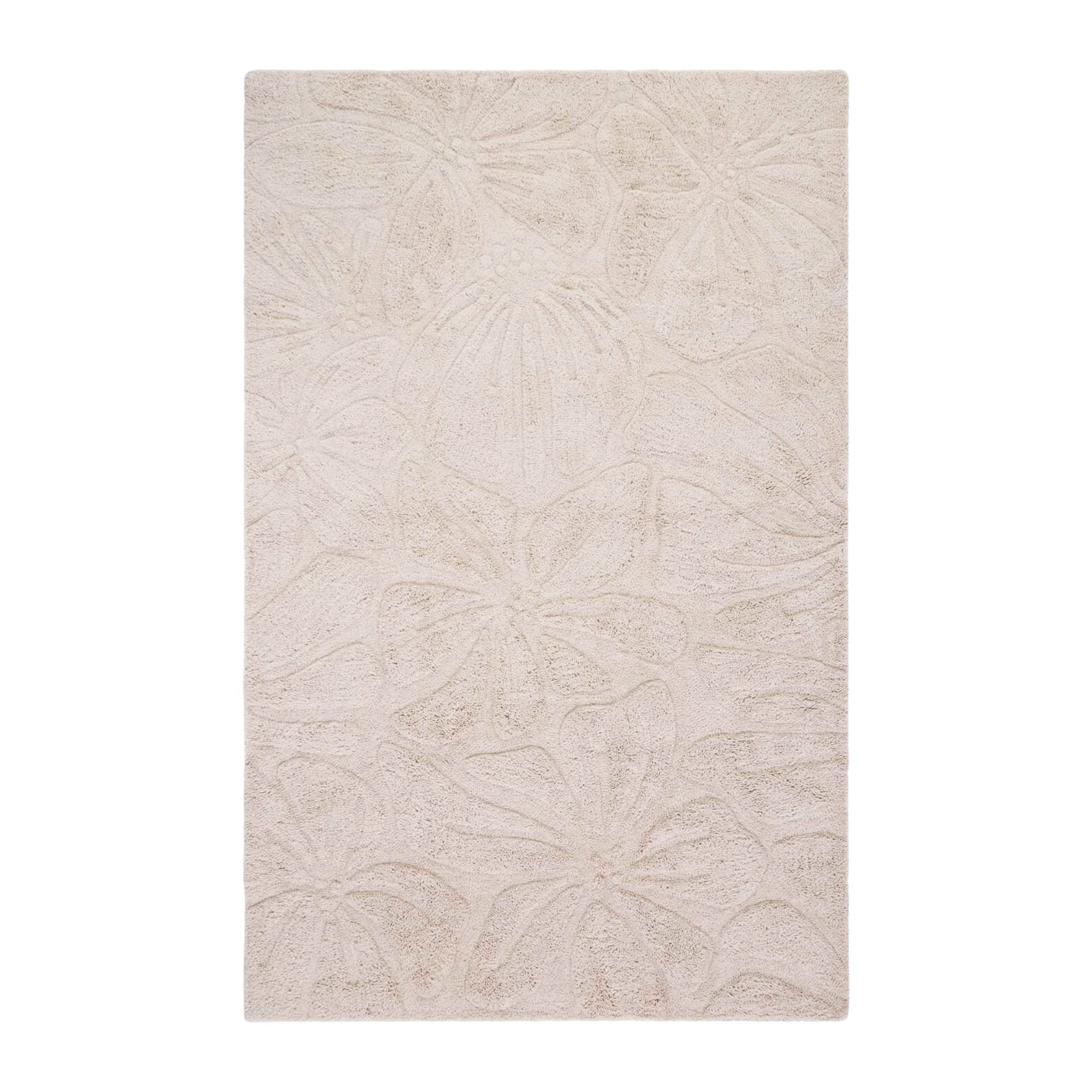 Floral Field Washable Wool Area Rug in Cream