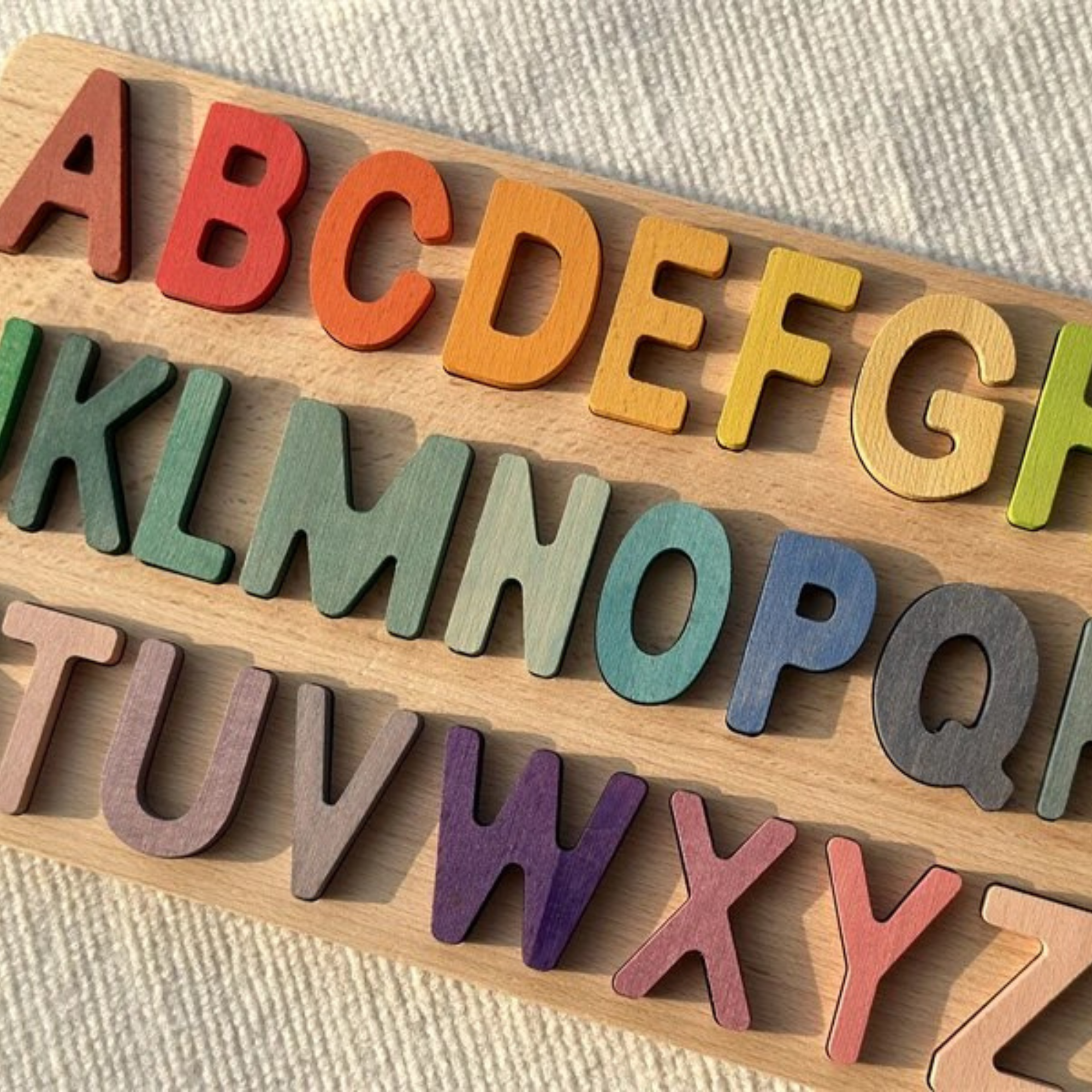 Montessori Wooden Puzzles