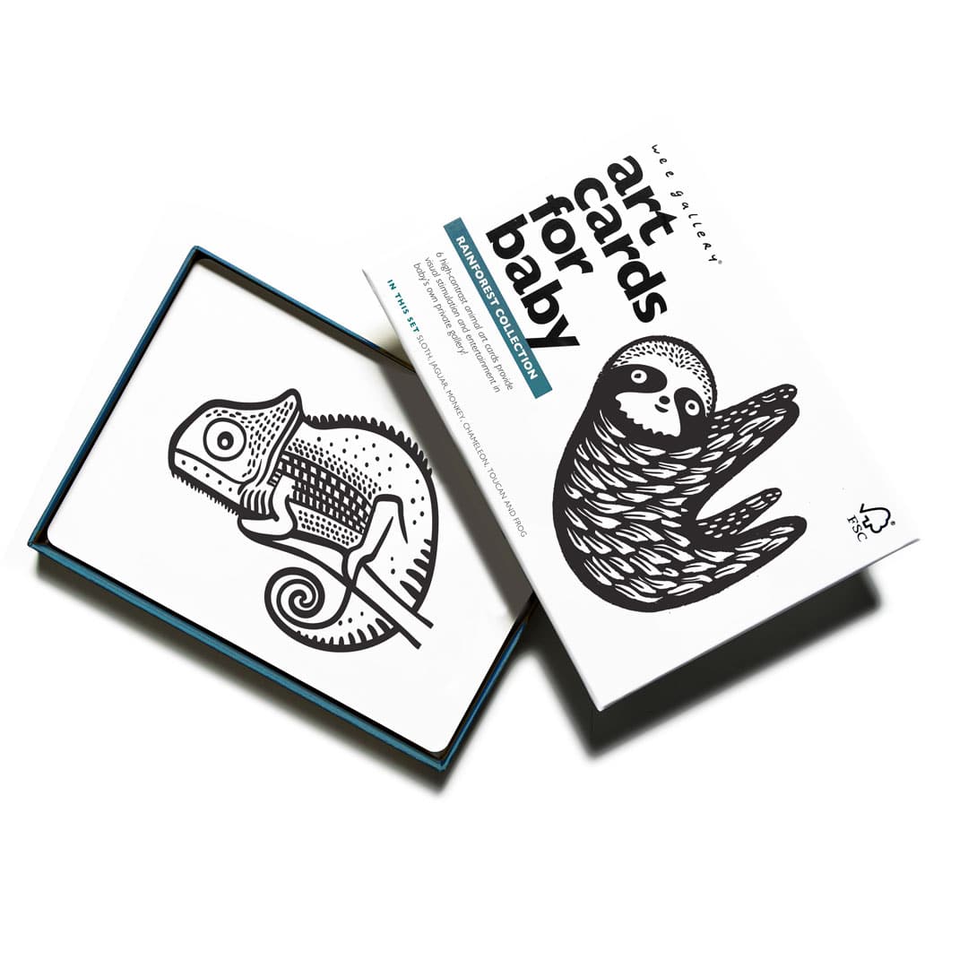 Art Cards for Baby - Rainforest Collection Art Cards Leo Paper   