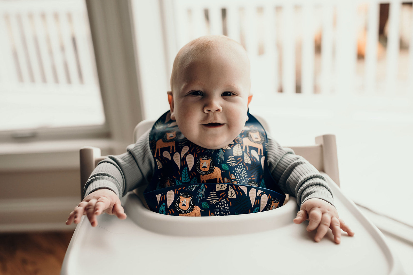 Lion Silicone Bib with Crumb Catcher