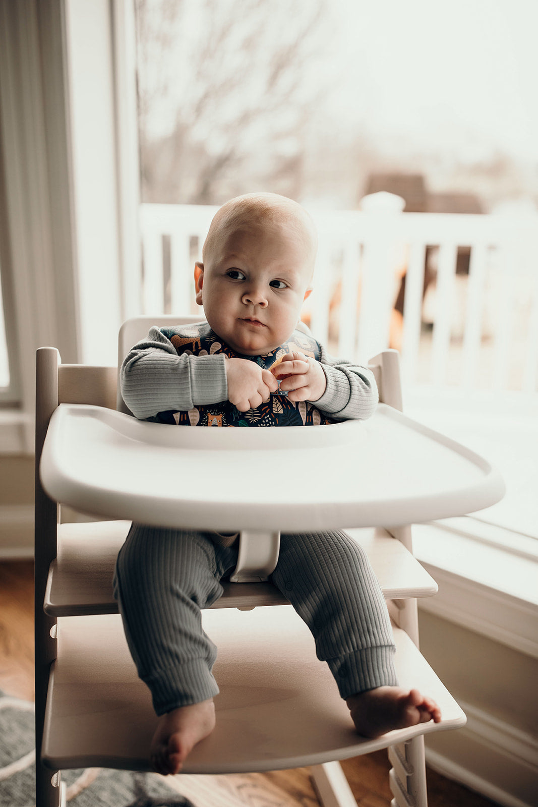 Lion Silicone Bib with Crumb Catcher