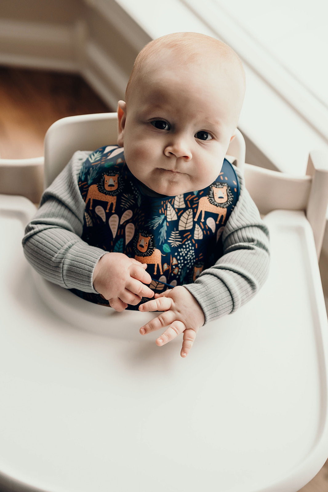 Lion Silicone Bib with Crumb Catcher