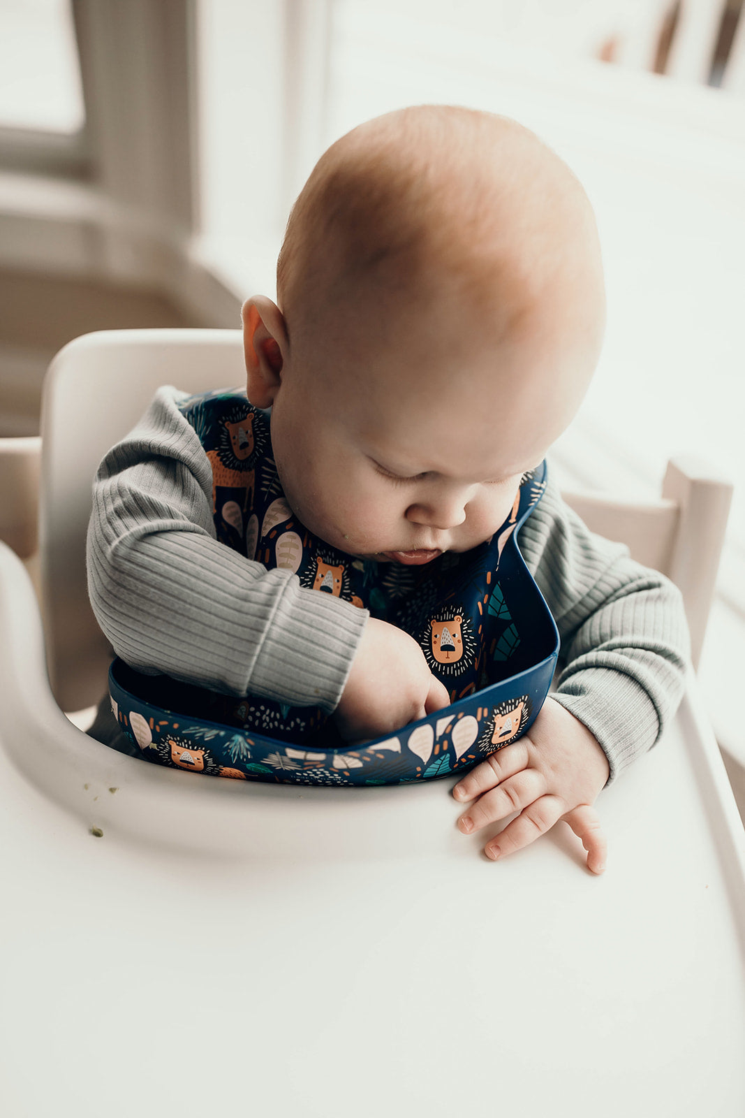 Lion Silicone Bib with Crumb Catcher