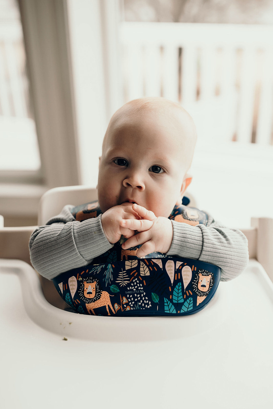 Lion Silicone Bib with Crumb Catcher