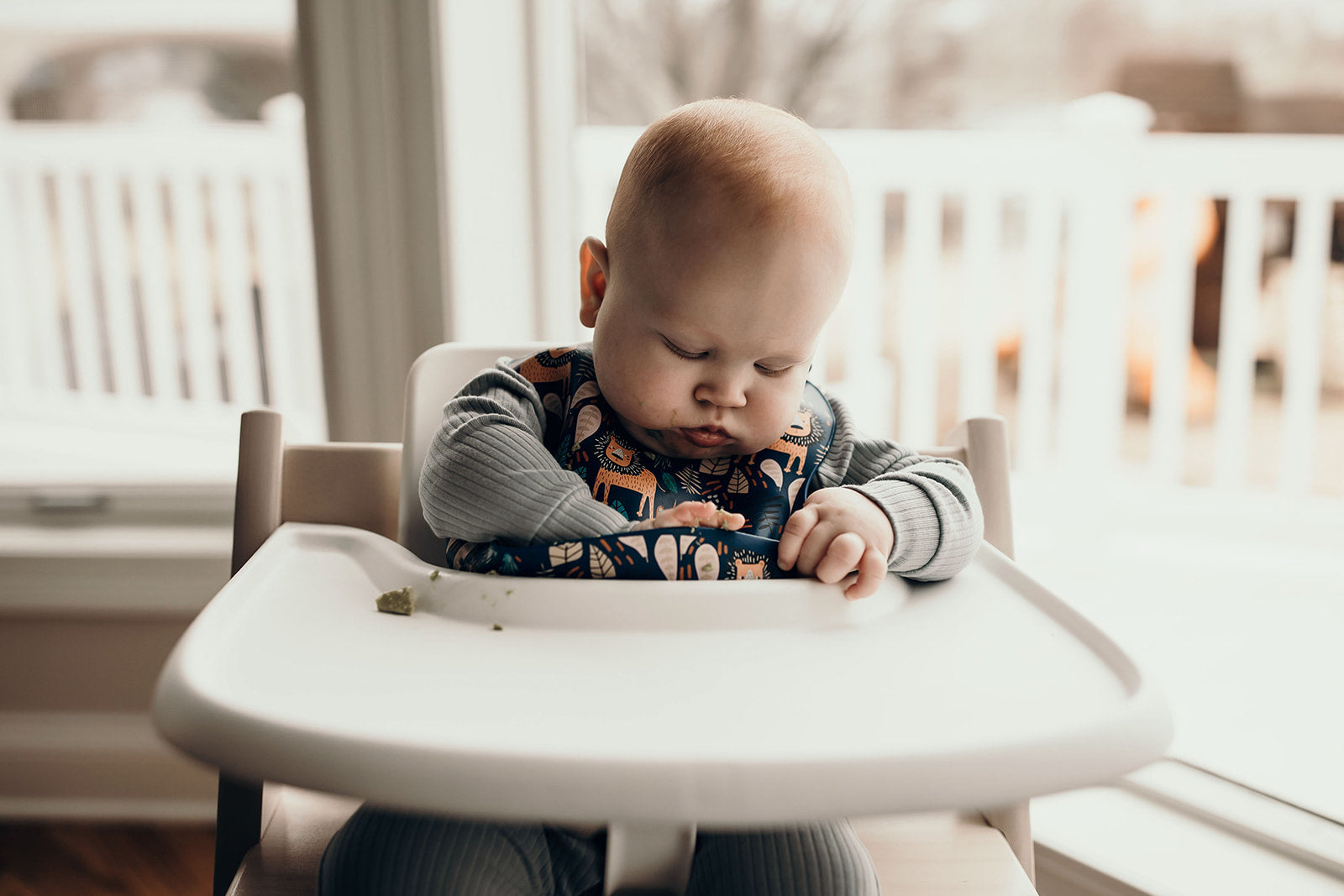Lion Silicone Bib with Crumb Catcher