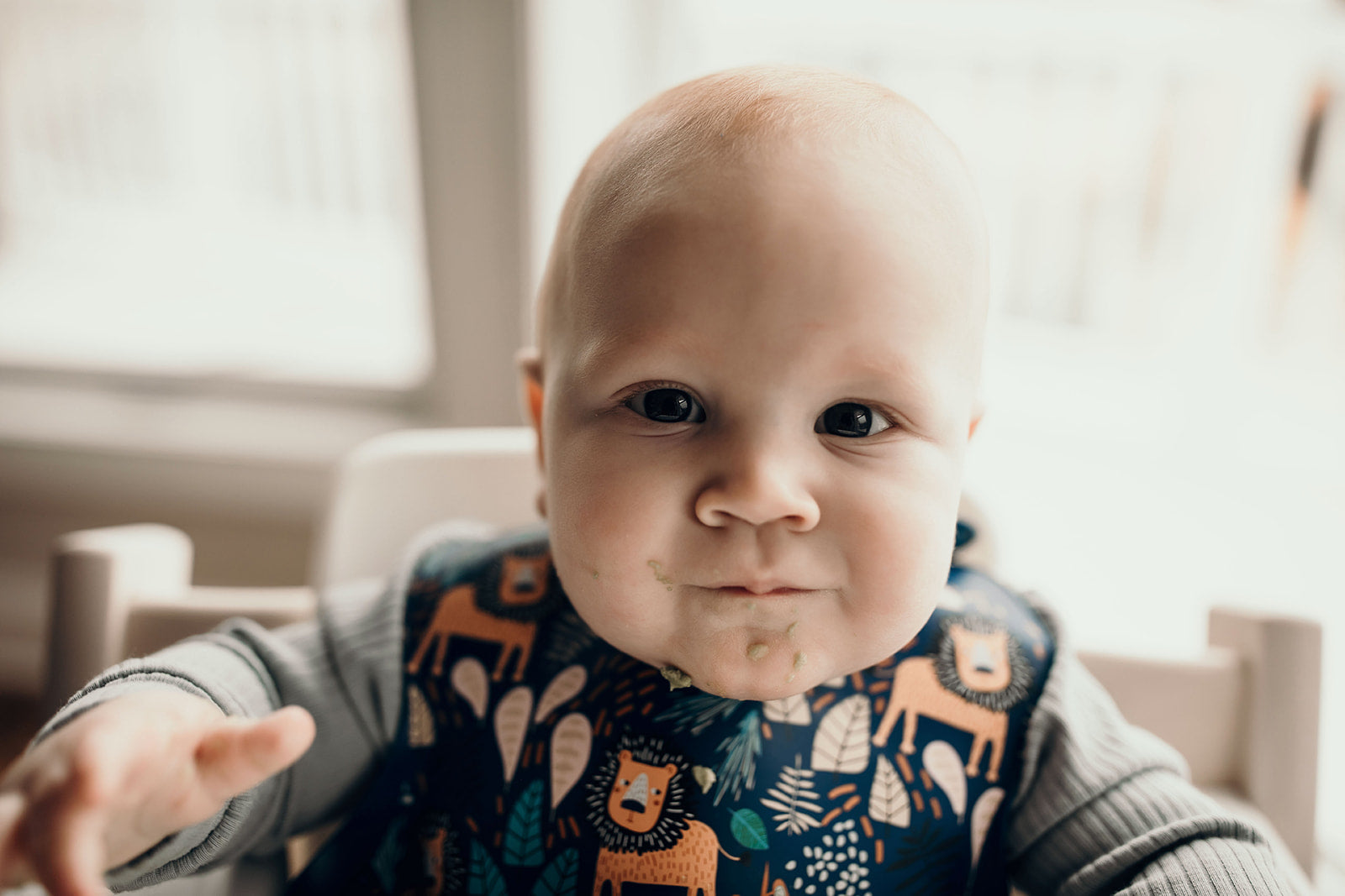 Lion Silicone Bib with Crumb Catcher