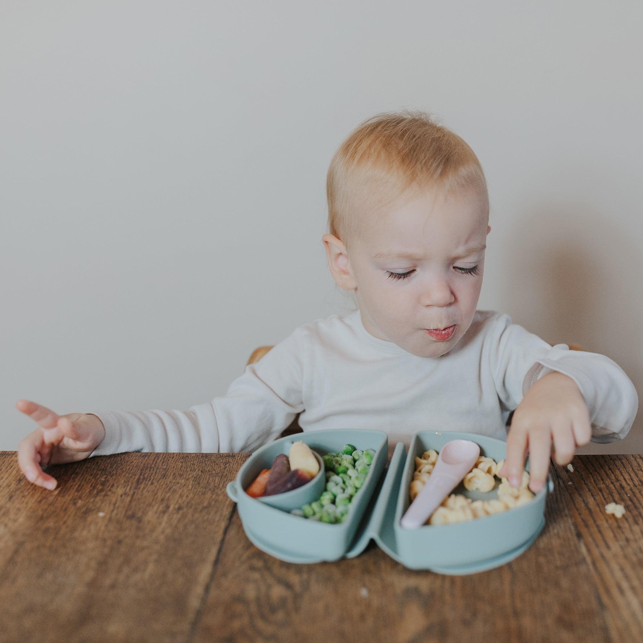 Compact Children's Portable Plate - Chickory