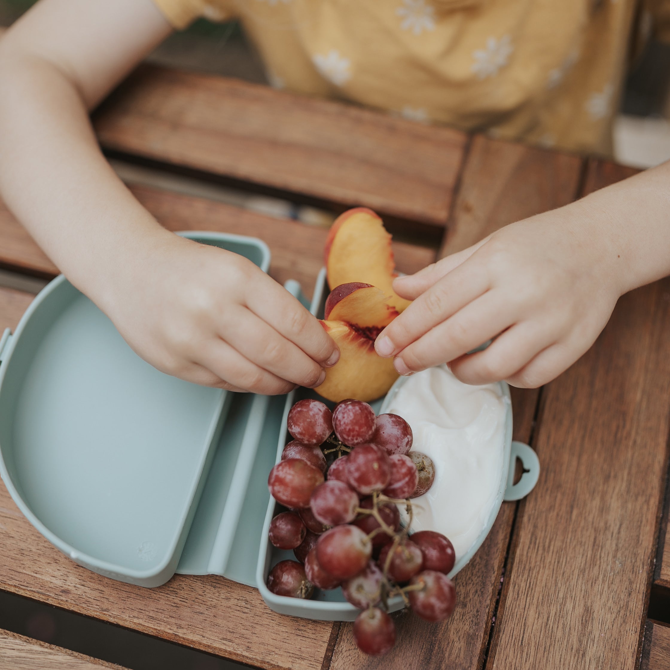 Compact Children's Portable Plate - Chickory