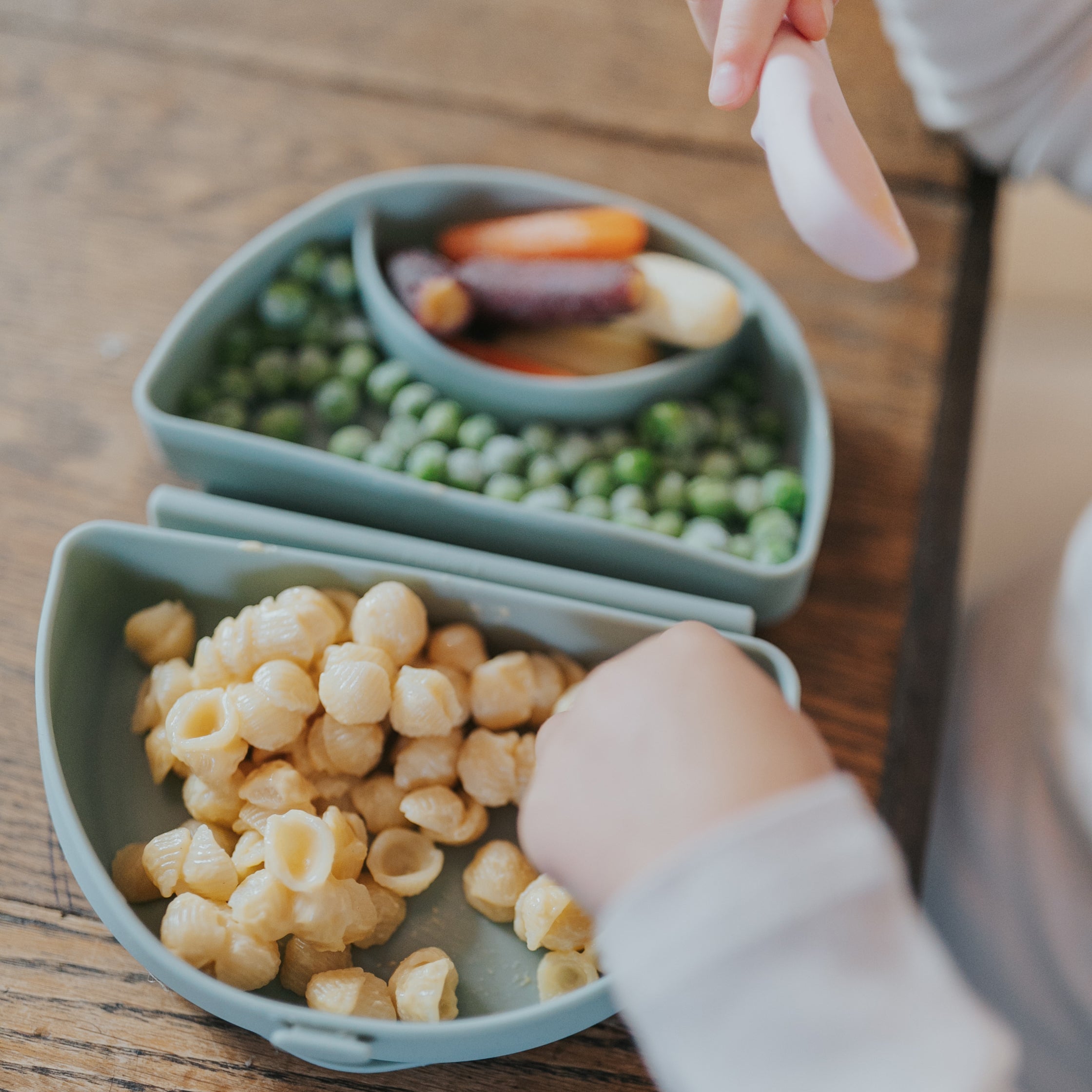Compact Children's Portable Plate - Sage