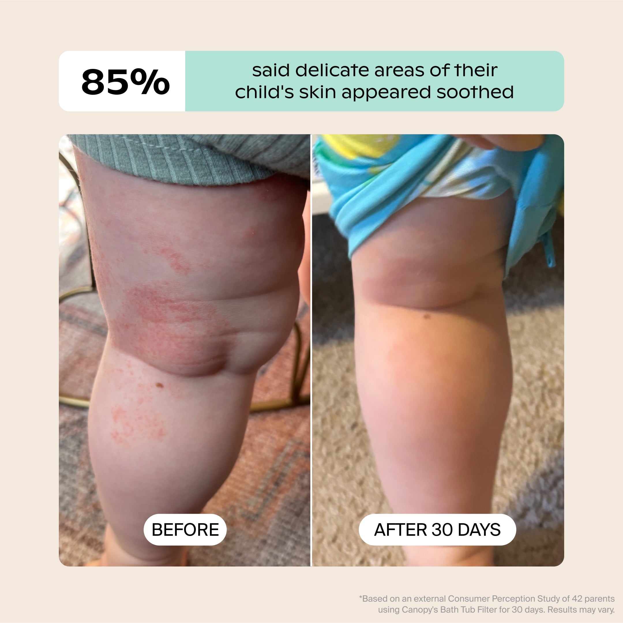 All In One Non-Toxic Starter Kit