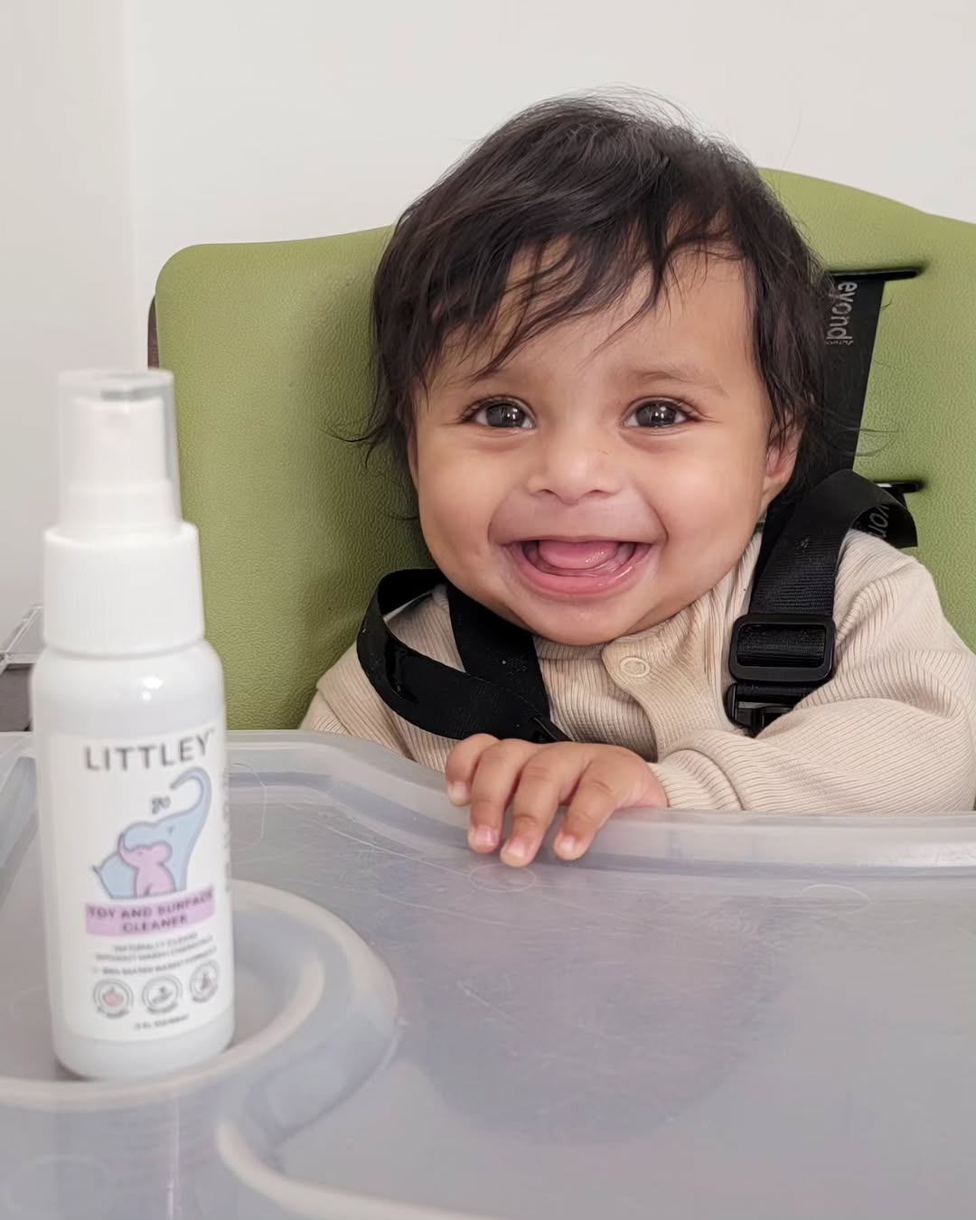 Toy & Surface Cleaner