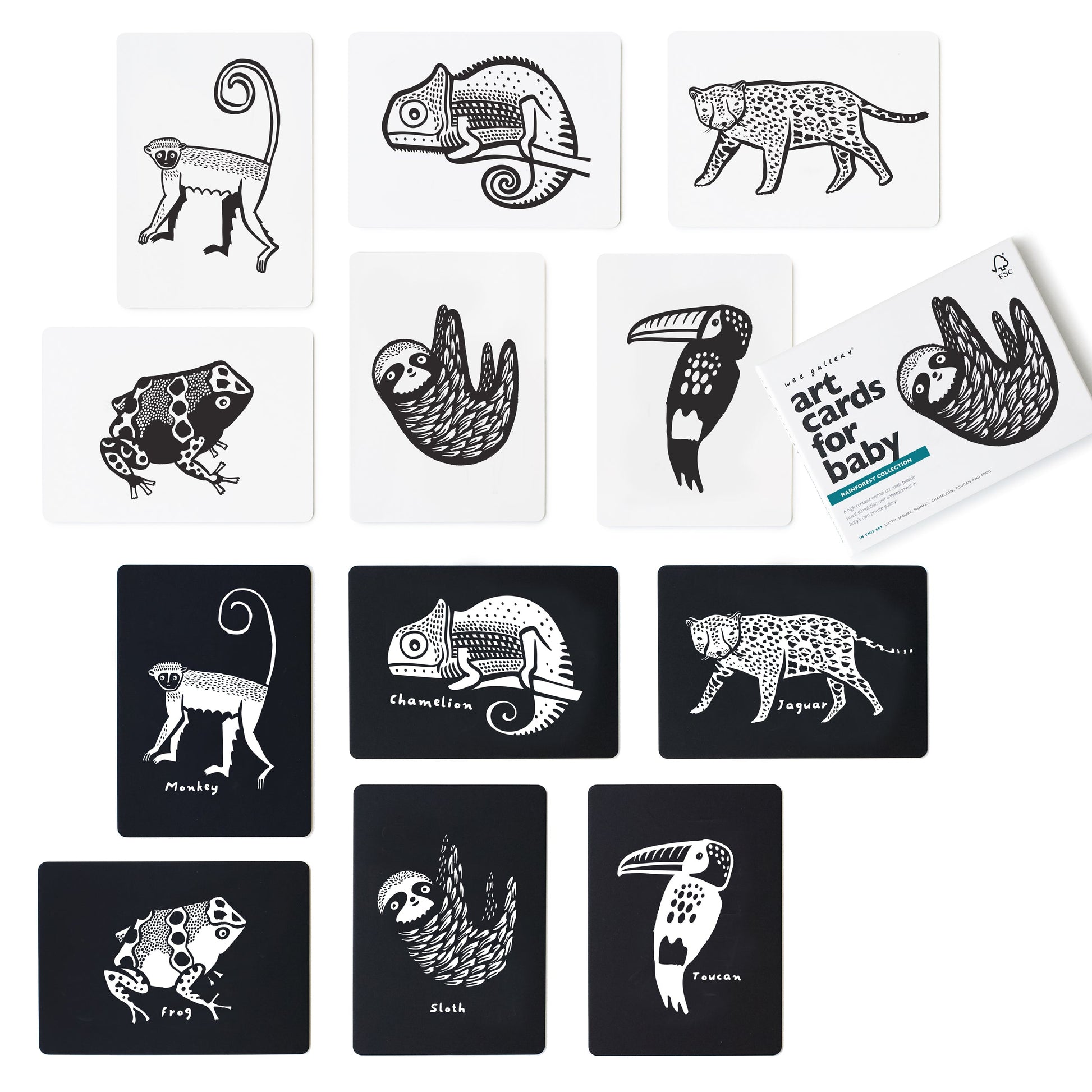 Art Cards for Baby - Rainforest Collection Art Cards Leo Paper   