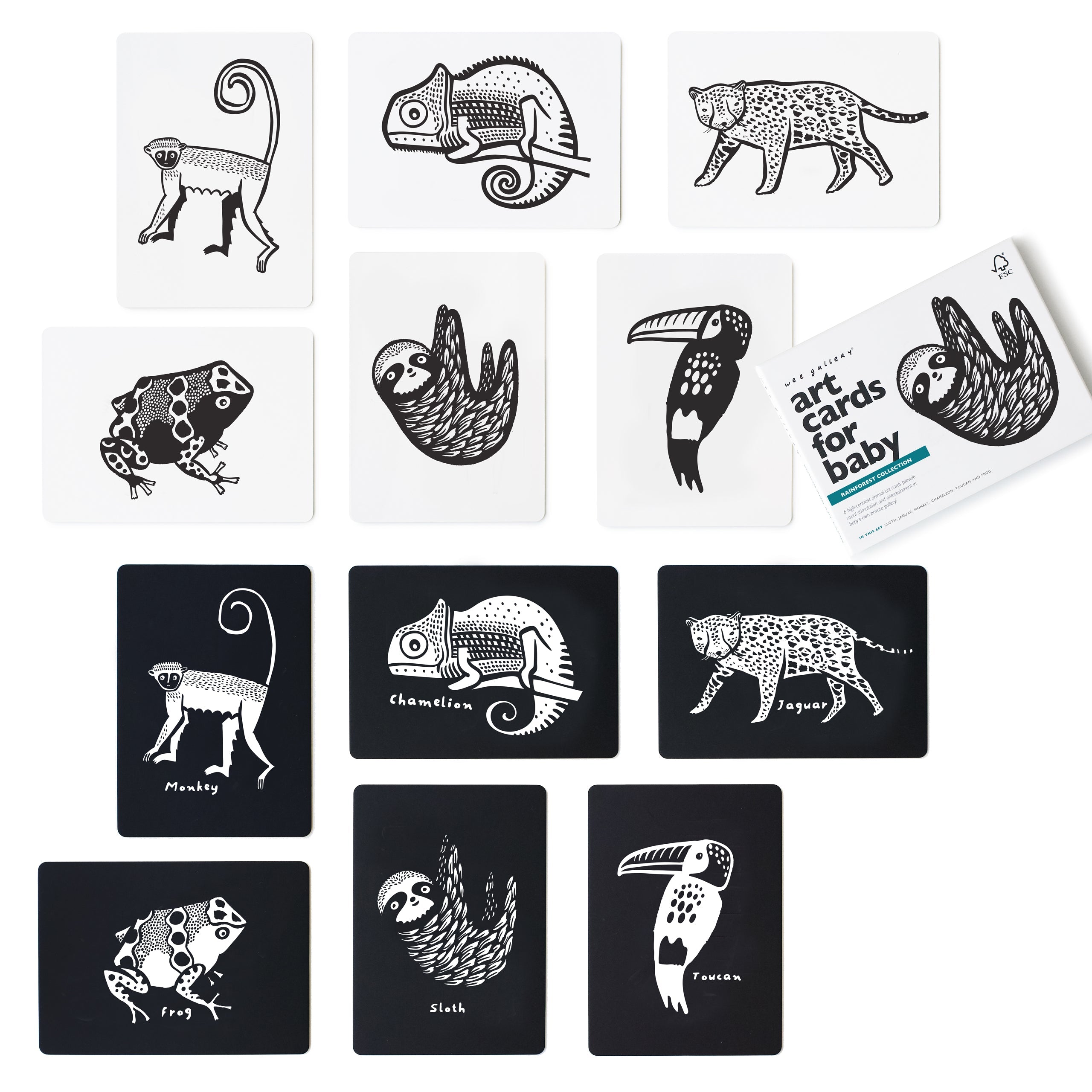 Art Cards for Baby - Rainforest Collection Art Cards Leo Paper   