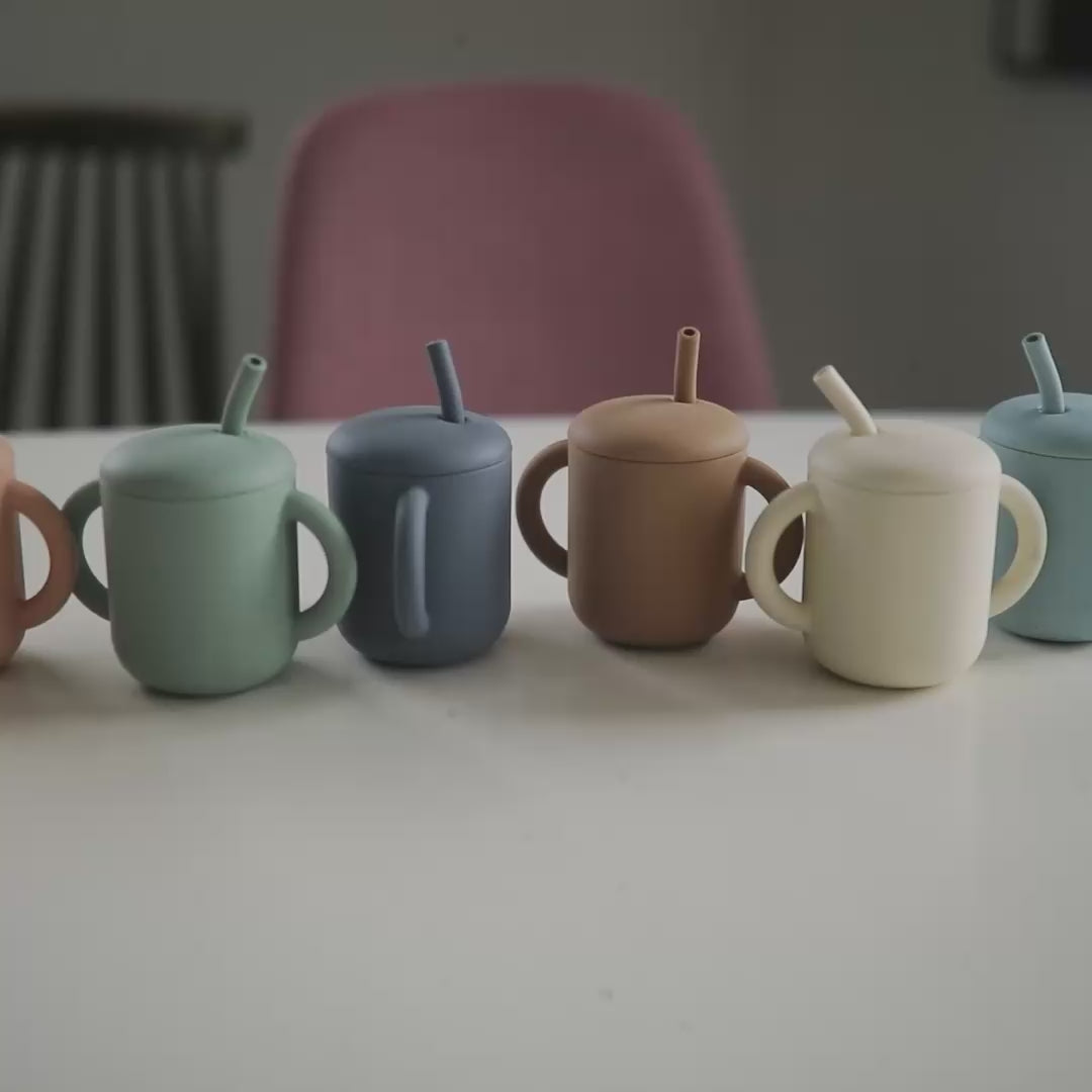 Silicone Training Cup + Straw