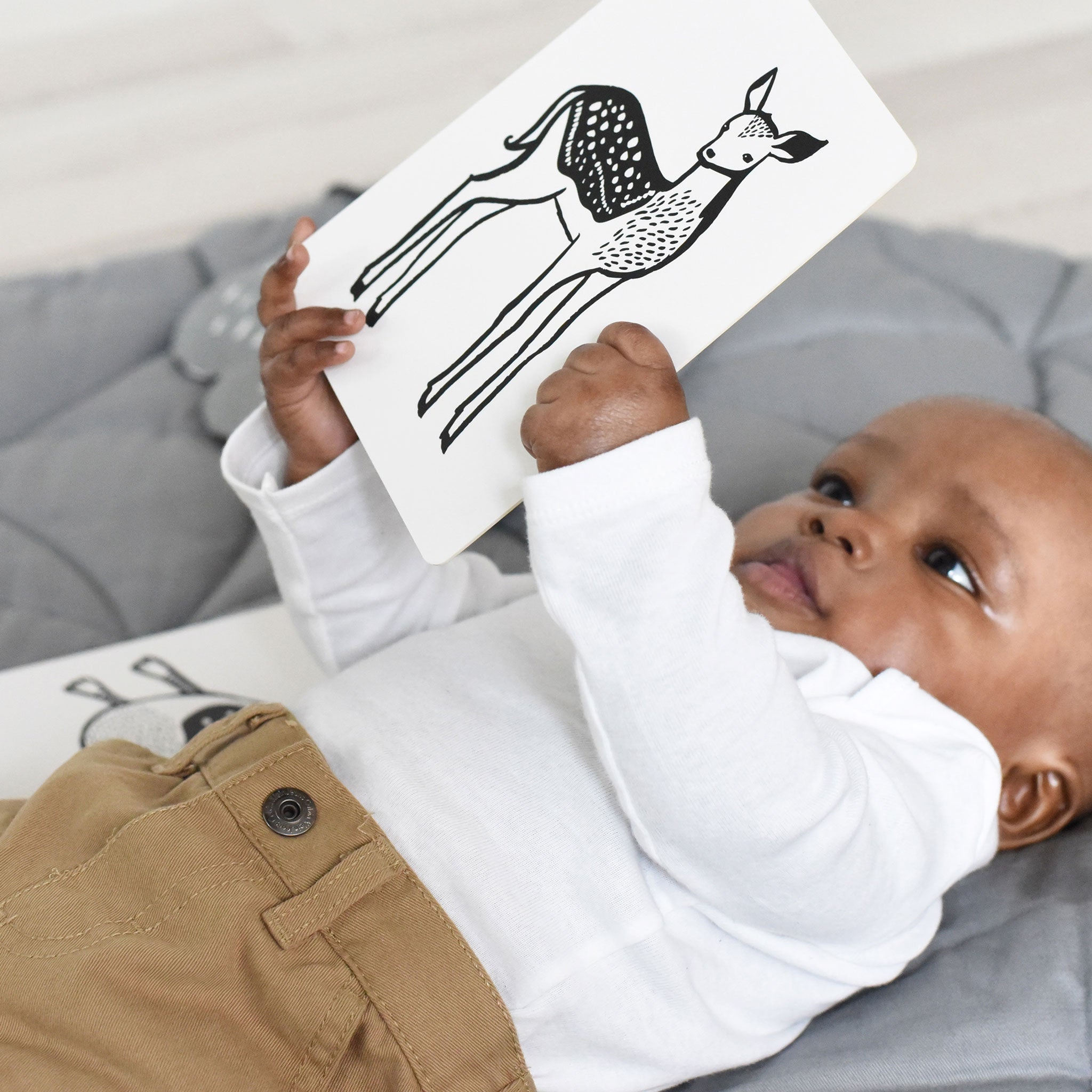 Art Cards for Baby - Rainforest Collection Art Cards Leo Paper   