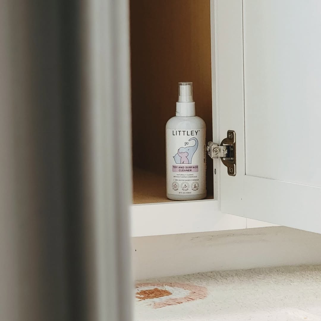 Toy & Surface Cleaner