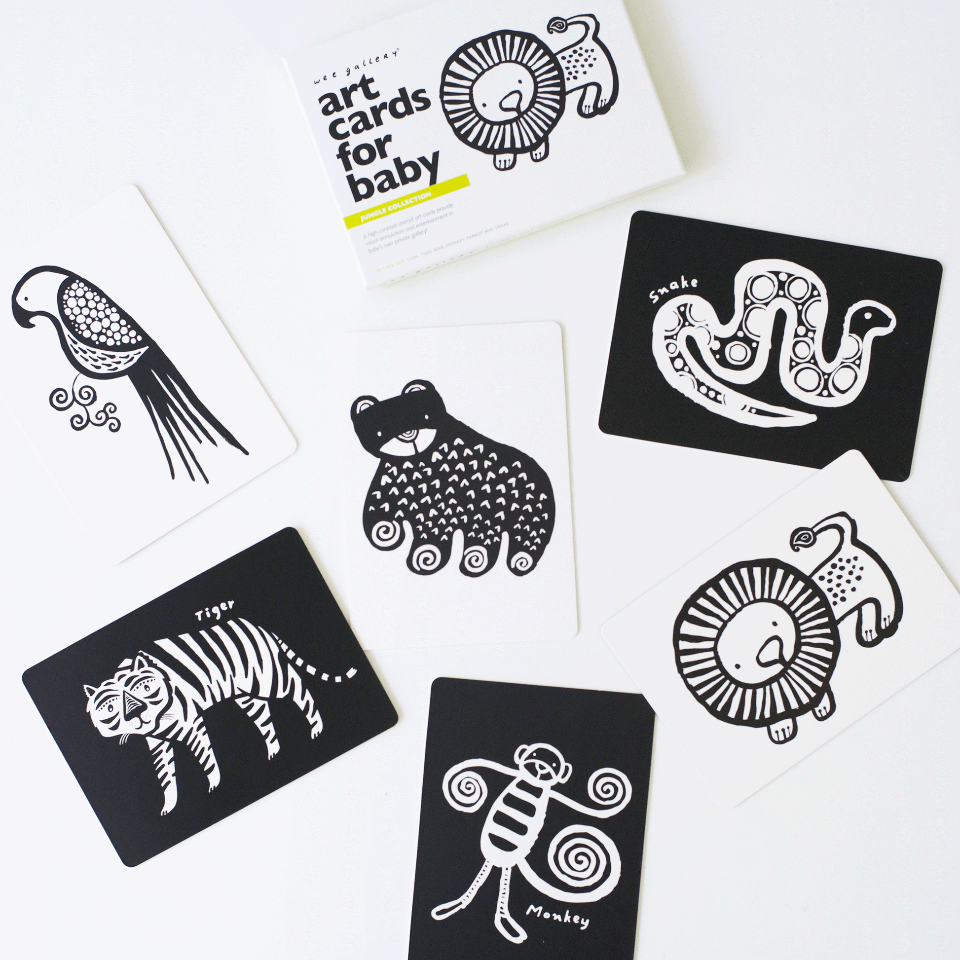 Art Cards for Baby - Jungle Collection Art Cards Leo Paper   
