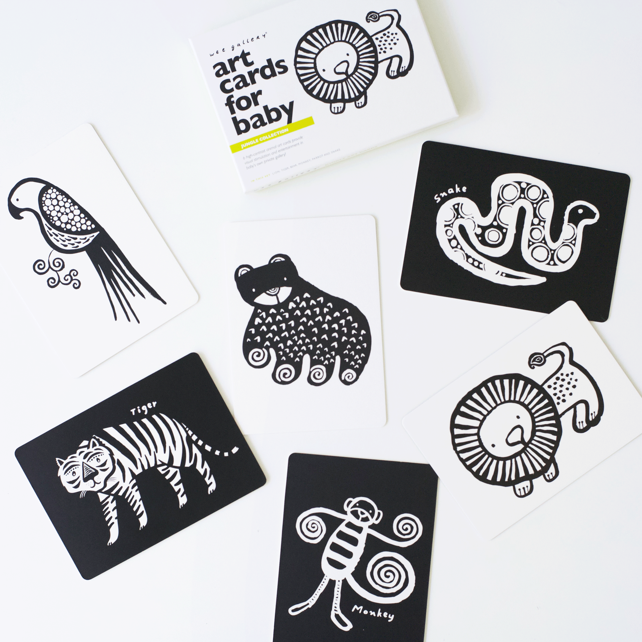 Art Cards for Baby - Jungle Collection Art Cards Leo Paper   